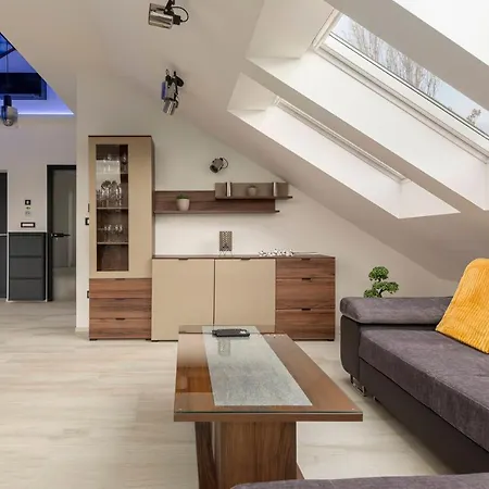 Luiza's Apartment Laibach